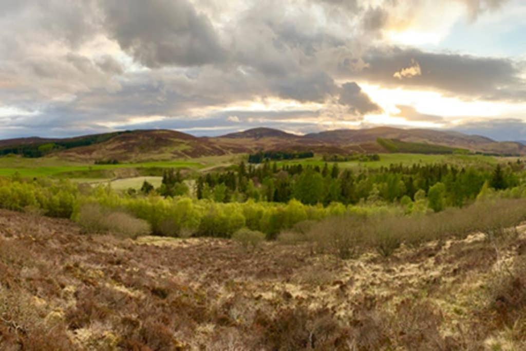 Blairbeg Cottage Blairgowrie and Rattray Εξωτερικό φωτογραφία